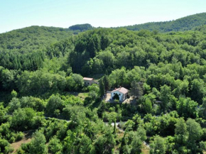 Lavish Farmhouse in Ortignano with Swimming Pool